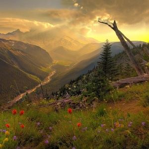 Meet your Posher, Rosalie